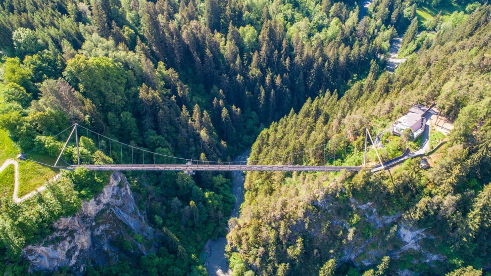 Lange Hängebrücke über bewaldete Schlucht in sonniger Umgebung