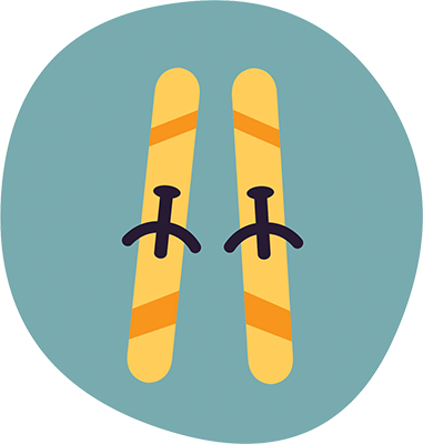 Ein dunkles türkisfarbenes Icon mit einem Ski in der Mitte