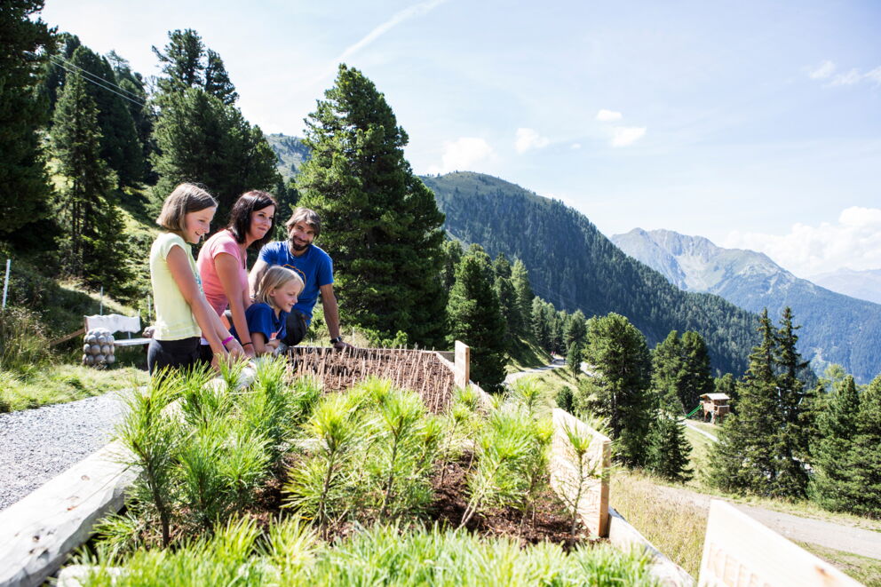Familie erkundet die Natur in den Tiroler Bergen bei sonnigem Wetter.