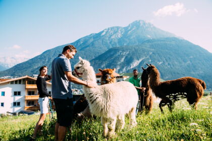 Familie streichelt Alpakas vor malerischer Bergkulisse in Tirol.