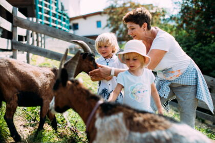 Two children and a woman feeding goats in a meadow.