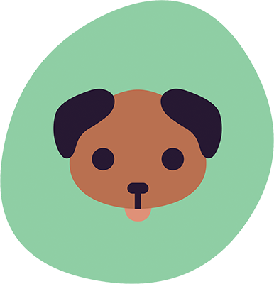 A turquoise icon with a brown dog in the middle